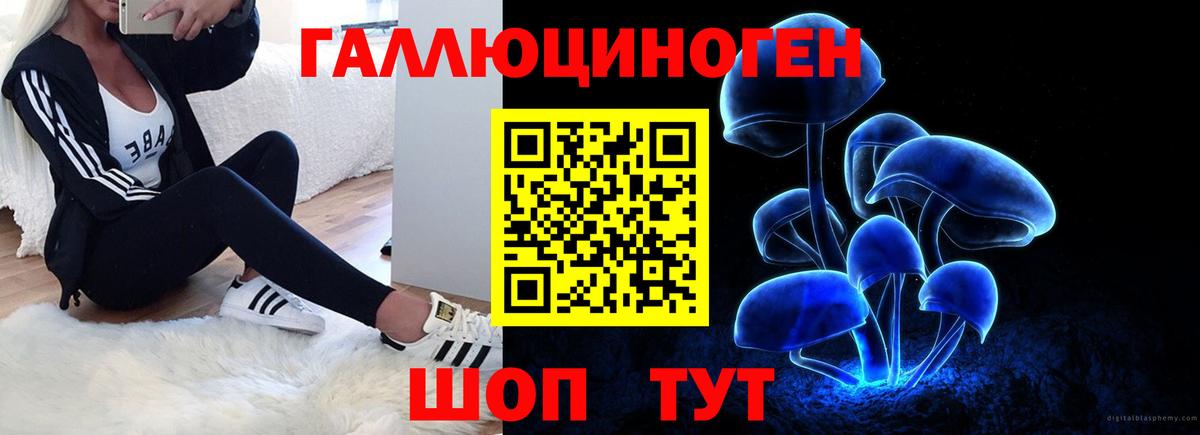 Галлюциногенные грибы Psilocybine cubensis  Вход с VPN  Галлюциногенные грибы мухоморы  Россошь 