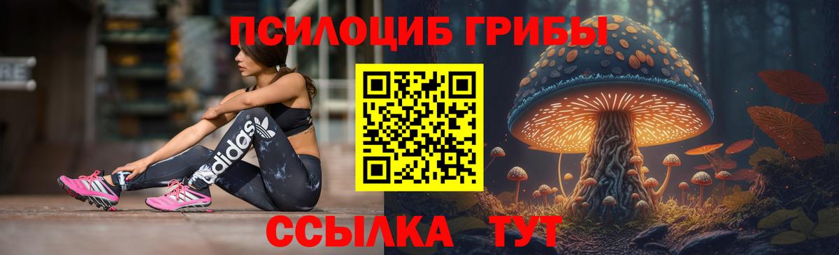 Псилоцибиновые грибы мицелий Россошь